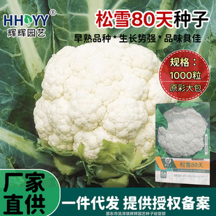 ��ѩ80���ɻ��˷N��ɢ�����๣�ɻ��˻��˷N���r�Ҳˈ@�����߲˷N