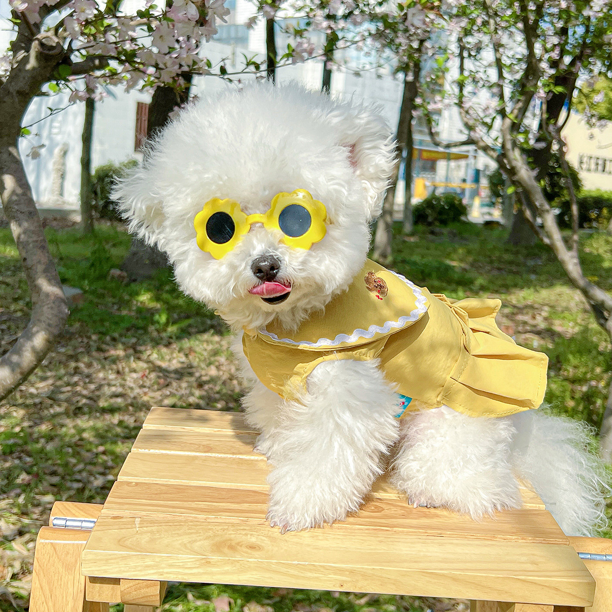 Gfas de sol para mascotas en verano, accesorios para perros pequeños, gafas de sol para mascotas lindas y guapos