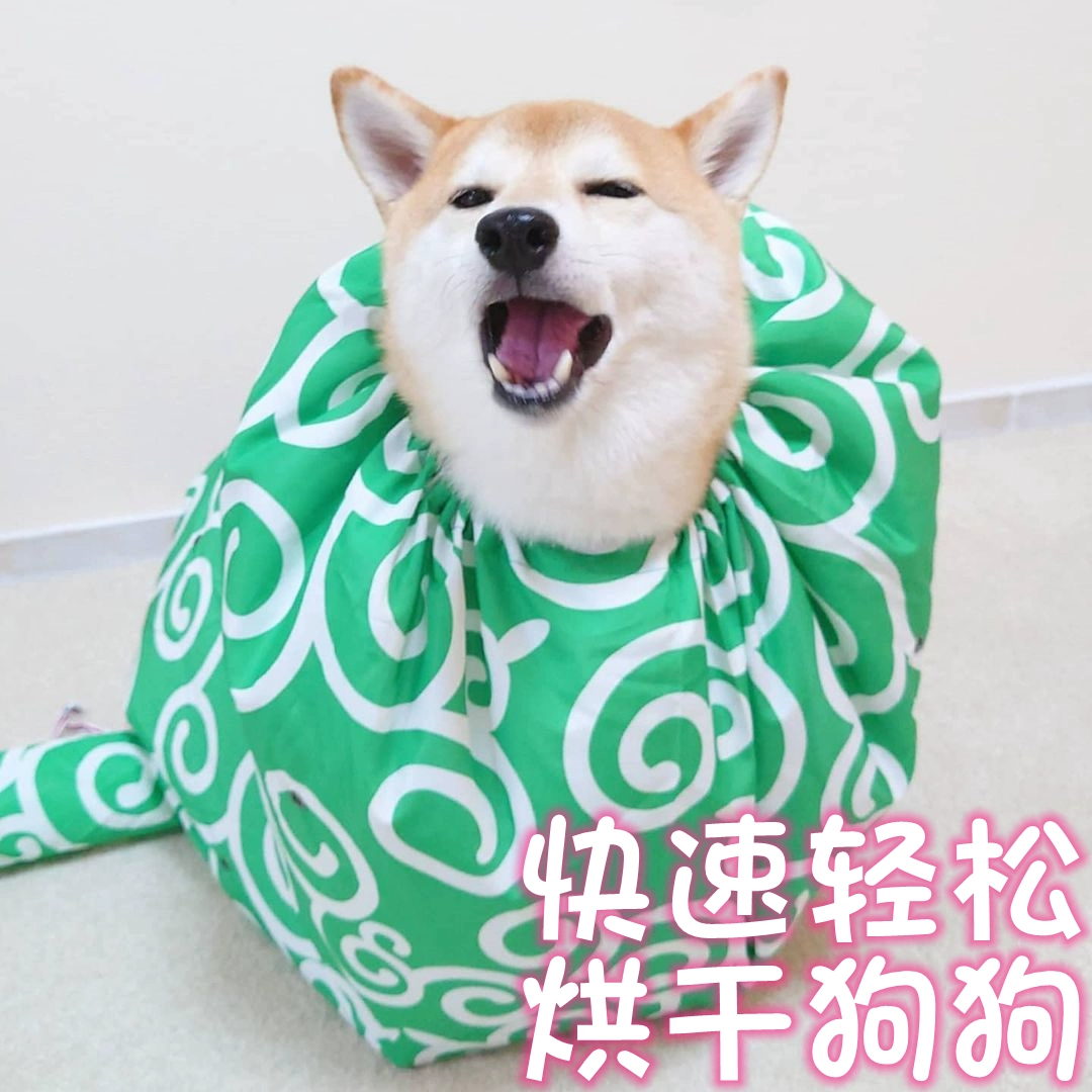 Коробка для сушки домашних животных для больших собак Собаки Сушка одежды Выдувание волос Бытовая выдувание волос Ванна Чай Собаки