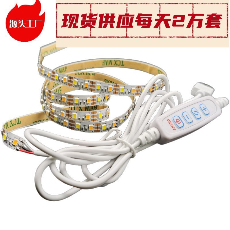 5mm two-color lamp with wall painting lamp Net red luminous painting 120 lamp 2835 soft light bar crafts