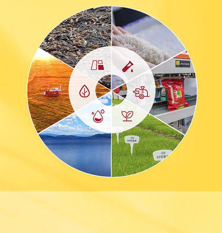 79b8190a-c5f6-4ac3-a718-e5623bf74d2c.jpe