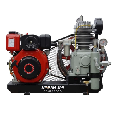 Screw Compressor, Hava kompressorları
