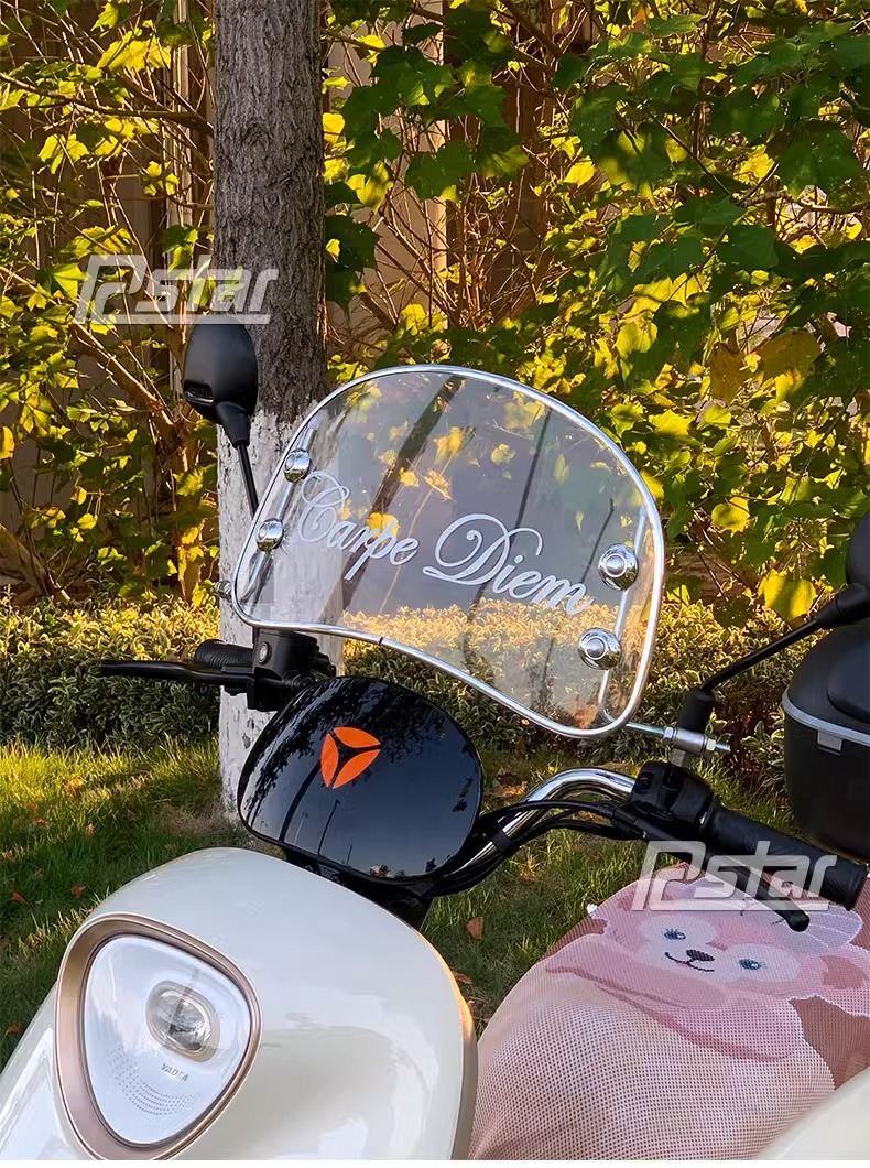 Electric Vehicle Retro Front Windshield Battery Windshield Retro Cute Female Sunny Day Modern Modification
