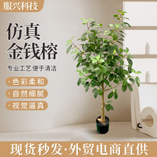 �羳����Gֲ���Է�����X���辰����ֲ��[���Ƶ��b٘����l