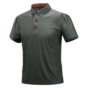 2025���ļ��¿���������ʿ����T�����e�̄Ռ������m�H�w͸��POLO