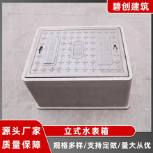 �ͺϼӺ�һ�wʽƬ��ˮ�������ϵ���ʽˮ�����w���������w