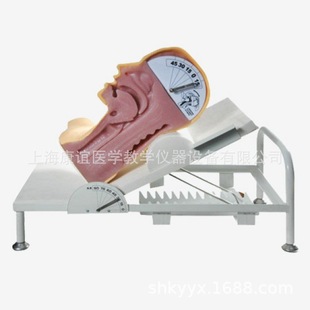 Kay-H88 Advanced Swallowing Mechanism Model Swallowing and Breathing Mechanism Demonstration Model