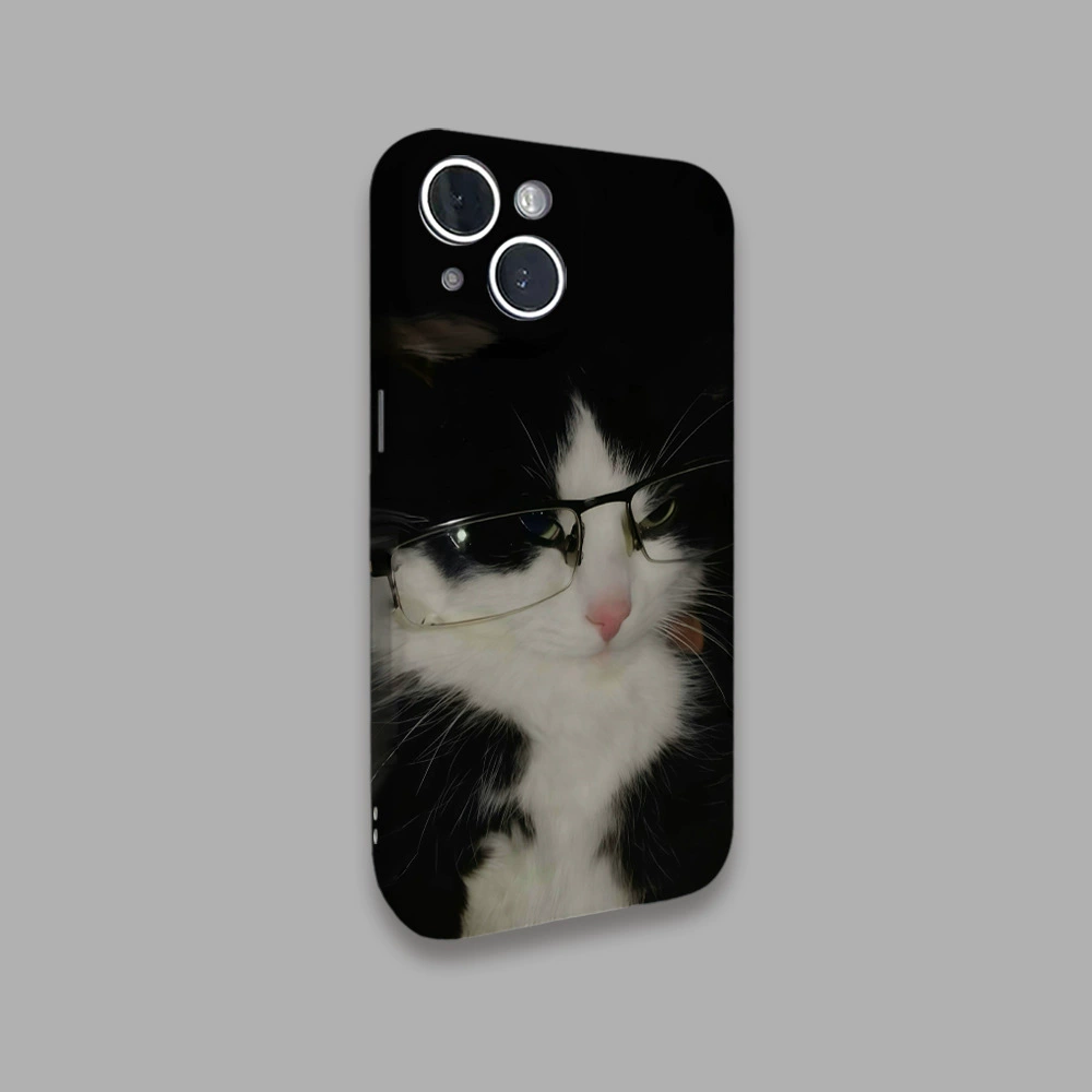 Apple, iPhone16, совместимый iPhone16 Pro, чехол для телефона, 2 в 1, 14/13/12