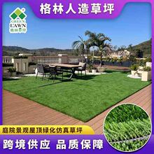 �����ƺ�S�Ҷ���С���̳�artificial grass �����Ƥ��̺�羳