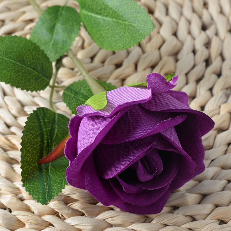 Small velvet dark purple