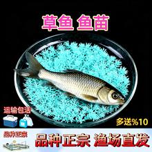 ���ڴ���~����~�ش�ˮ�Bֳʳ����ˮ�r�����~�糬��һ�lʳ��