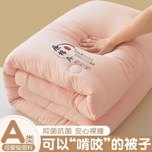 大豆纤维被子冬被棉被芯学生宿舍单人薄春秋被加厚保暖四季通用