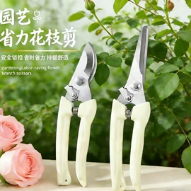 厨房小工具;厨用剪刀;修枝剪