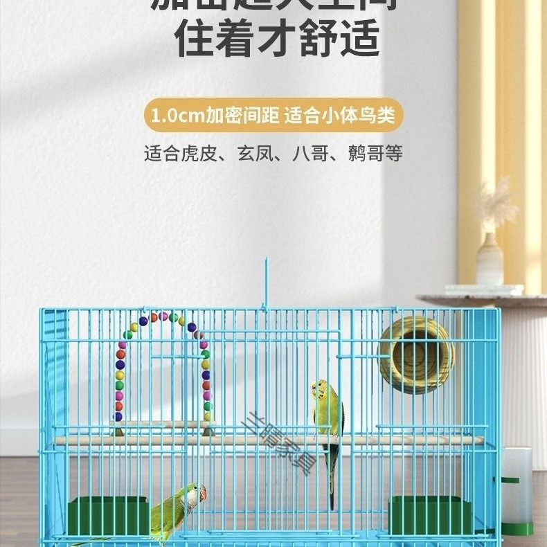 e9896006-802d-47df-8713-eddf681a0a0b.jpe