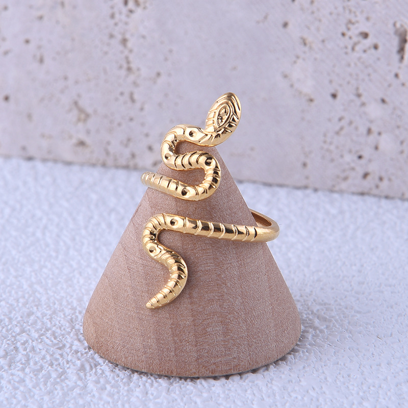 Retro Snake Titanium Steel Rings 1 Piece