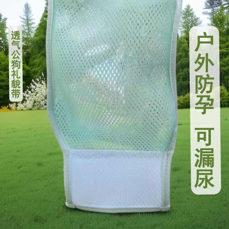 New Style Outdoor Anti-Pregnancy Pants for Male Dogs with Urine Leakage, Polite Belt, Breathable, Cool, Washable, Reusable and Long-Term in Summer New Style Outdoor Anti-Pregnancy Pants for Male Dogs with Urine Leakage, Polite Belt, Breathable, Cool, Washable, Reusable and Long-Term in Summer