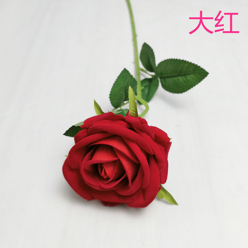 레드
