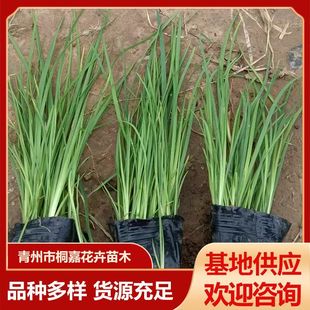 �R�m�^�p�����ع���ˮ������ֲ�﹤�̾G���ͺ��ͺ�