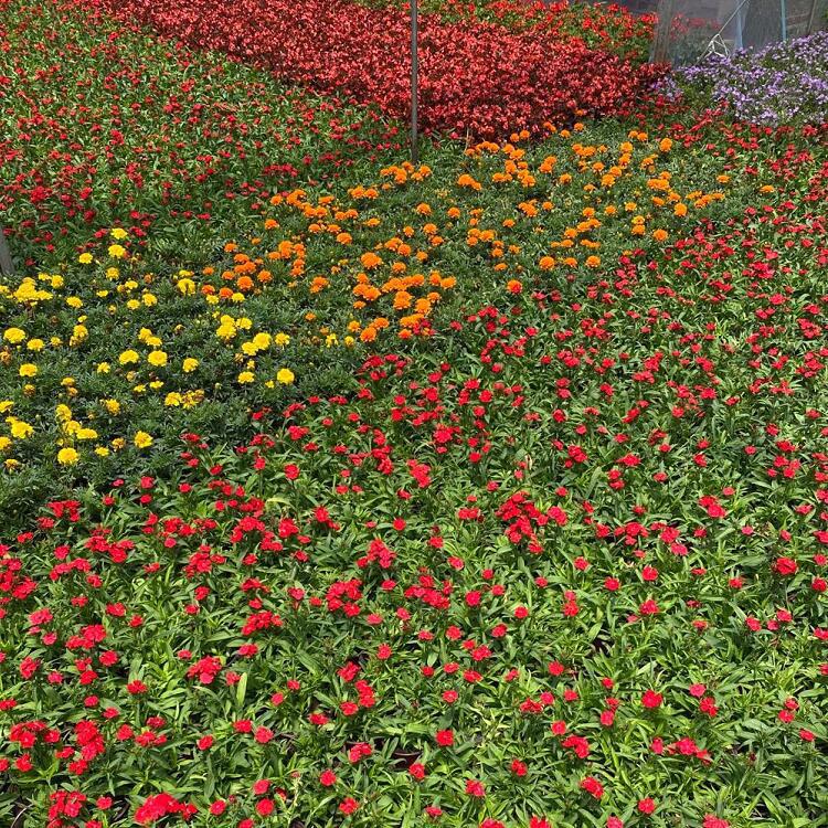 QQ图片20200807155847