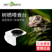 ���Ɍ���Reptizoo���xˮ��ʳ�� �޽������،mιʳ̨�쾰�،mˮ��