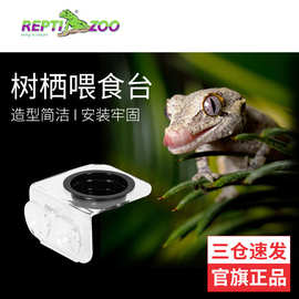 新派宠物Reptizoo爬虫水盆食盆 睫角日行守宫喂食台造景守宫水盆