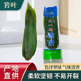 又一春野生新鲜真空袋湖北香粽叶箬叶端午粽子叶摆盘糯米糕粽叶