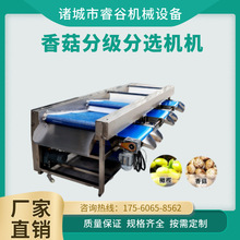 ���{ݮ���x�Cȫ�ּ��Cˮ����������ɽ髶๦�ܺY�x�C��ˮ���¿�