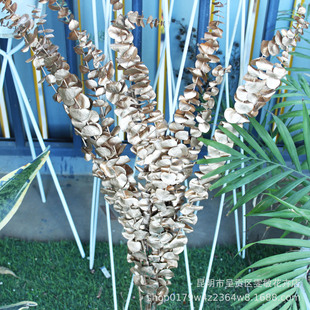 �������滨�ȼ�����ɫ�ȼ������X�~��c�ҾӔ[����չ�b� ��ɫ