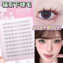 ���z؈ϵ������ë��Ȼ�ٽ�ë�δ؝��ֶܷμ޽�͸����С���½�ë