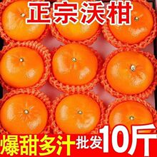 �V�����Q�ָ̮������rˮ���F�����ӱ�Ƥ���ӽ����lֱ�l