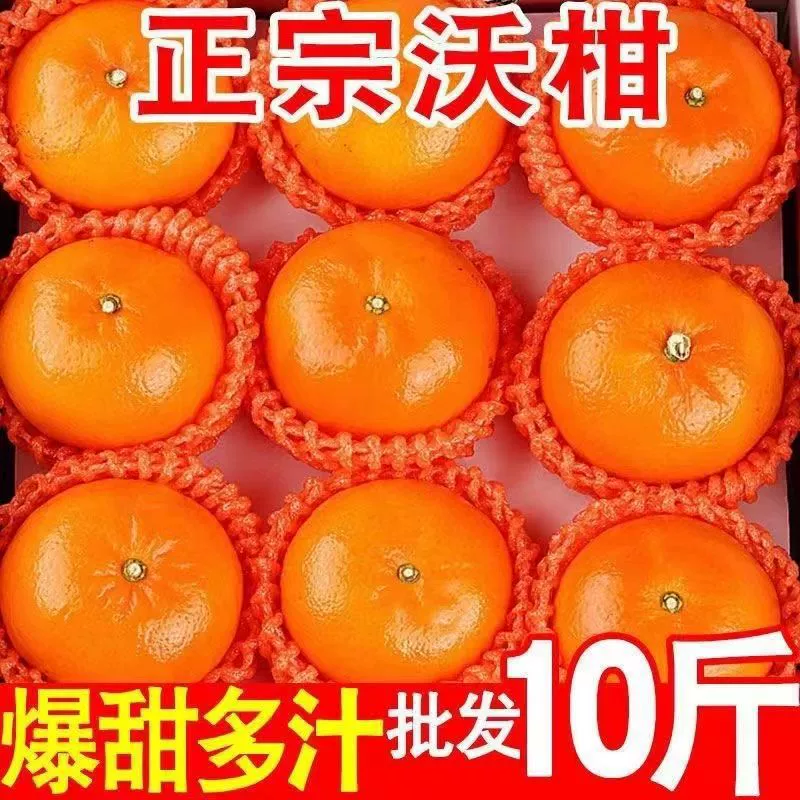 Гуанси Вуминг Воган сезонные свежие фрукты императорский апельсин тонкокожий апельсин оптовая прямая доставка