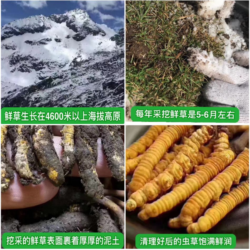 微信图片_20220429013204