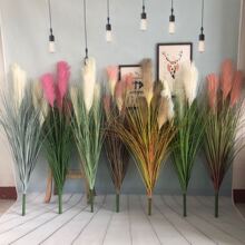 �����JȔ�ݹ�β�Ͳ�ˮ�ݸɻ��ٻ���ɫ�JȔ���͏d������ؙ����b�