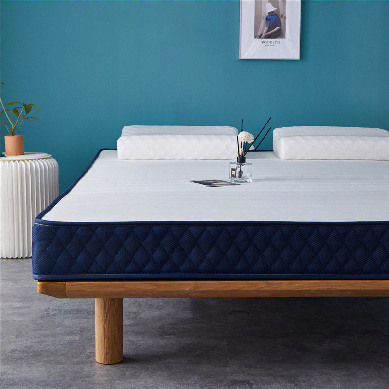 床垫 记忆床垫软垫加厚家用睡垫1.5洣单人1.2m被褥子双人1.8子|ru