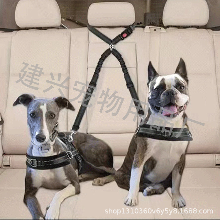 Mascota perro cinturón de seguridad suministros de coche perro gato coche fijo Cadena de perro buffer tracción cuerda de seguridad del coche