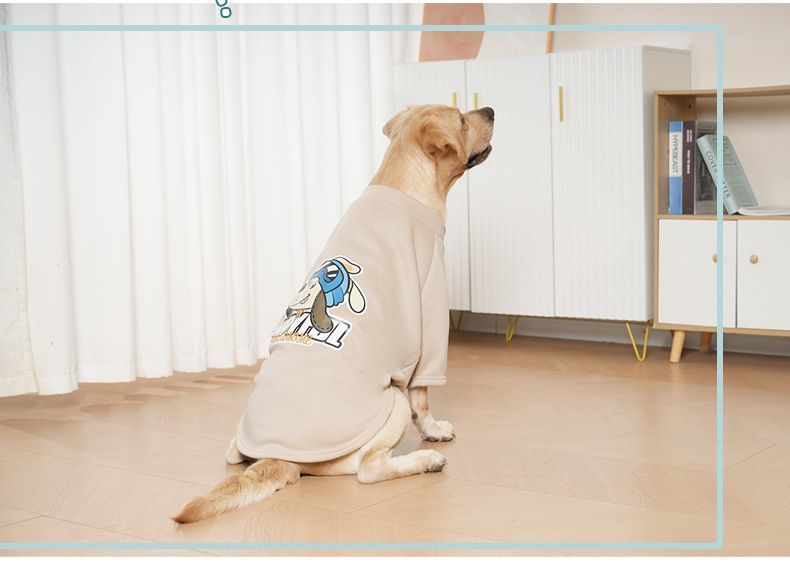 b7ca71b9-4a14-47de-8025-de02db47cd66.jpe