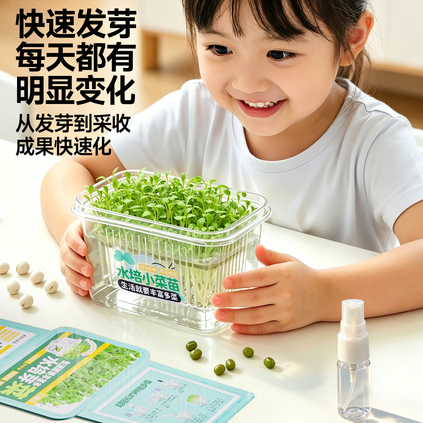 水培芽菜儿童学生益智科教玩具蔬果植物绿豆芽四季豆儿童种植盆栽