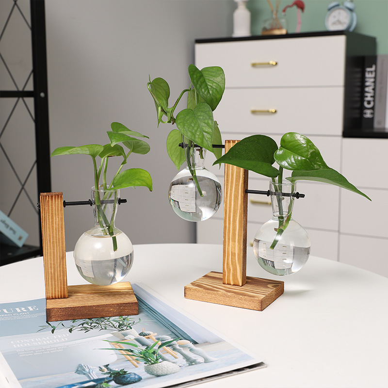 创意水培摆件 办公室绿萝玻璃瓶摆件 家居装饰桌面新颖工艺饰品|ms