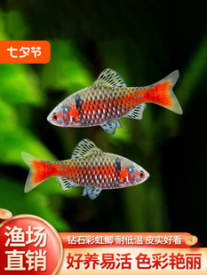 �ʯ�ʺ��a�M��������ˮ�ͺ����B�Ꭷ�~ԭ���~С�ͻ��wȺ���^�p�~