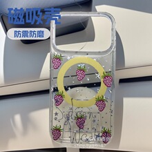 ��ݮ���WIMD�p��iPhone�O���֙C��17ˇ�g�p��16Pro imd�����֙C��