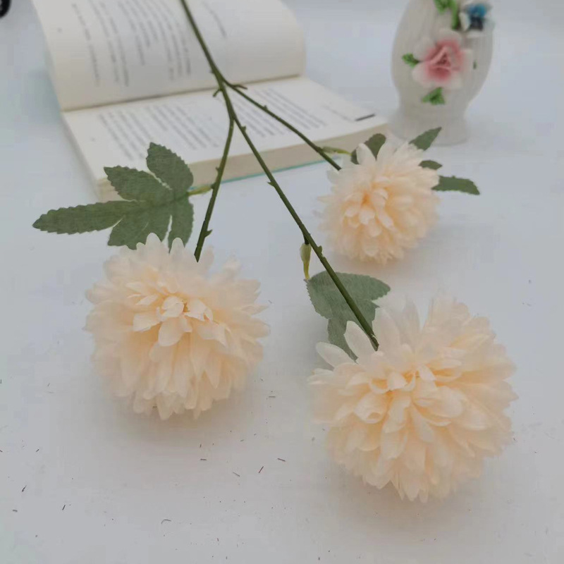 샴페인