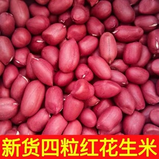 ��ϼtƤ��������؛����С�����r�����������t�¼tƤ������