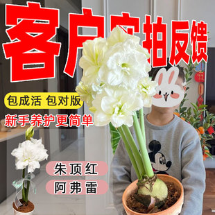 ��피t�M���ذ�N�����Ե���������ܰ����׹�����լֲ���҃���