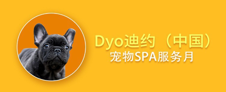 gWmWivOiz9St5Ja3ZAY3YFN2dWfCsZKHrNeD