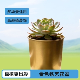 Դ�^�S��ֱ�������k���҄����ɫ�l��A��ֱ��W���L���F��Ʒ����