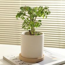 Ws͸մ؟҃ȾG}mС̖бP