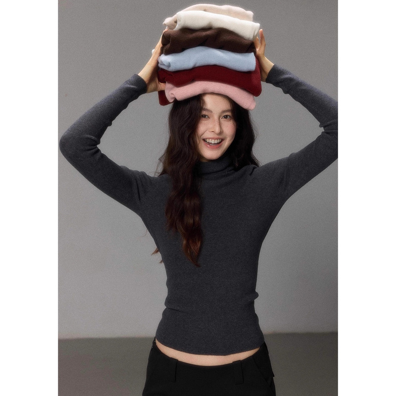 Er Yang [Jingxun] Soft and Seamless One-Piece Pile Turtleneck Knitwear with Sheep Wool for Women as a Base Layer