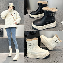 ѩ��ѥŮ2025�����¿���ƤС���ӾW�t�r�аٴ��ז|���ӽq����Ь