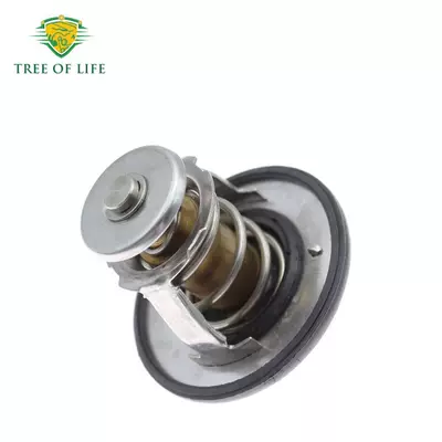 Thermostat for Toyota Lexus