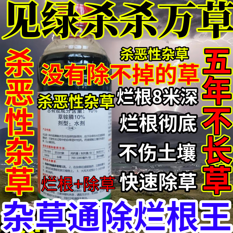 见绿杀杀万草精草铵膦铵盐果园烂根小飞蓬耕地强效除草剂烂根王